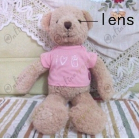 Teddy Bear DVR Spy Hidden Camera with Motion Sens VGA 16GB